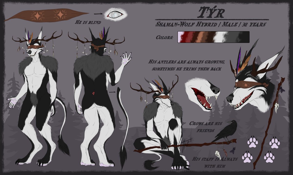 CosmosWolfAlpha's tweet photo. Updated Ref Sheet of Tyr the blind Shaman Wolf. Done by Colouren Art on Facebook/Bluesky. https://t.co/HXvwTLIVhM