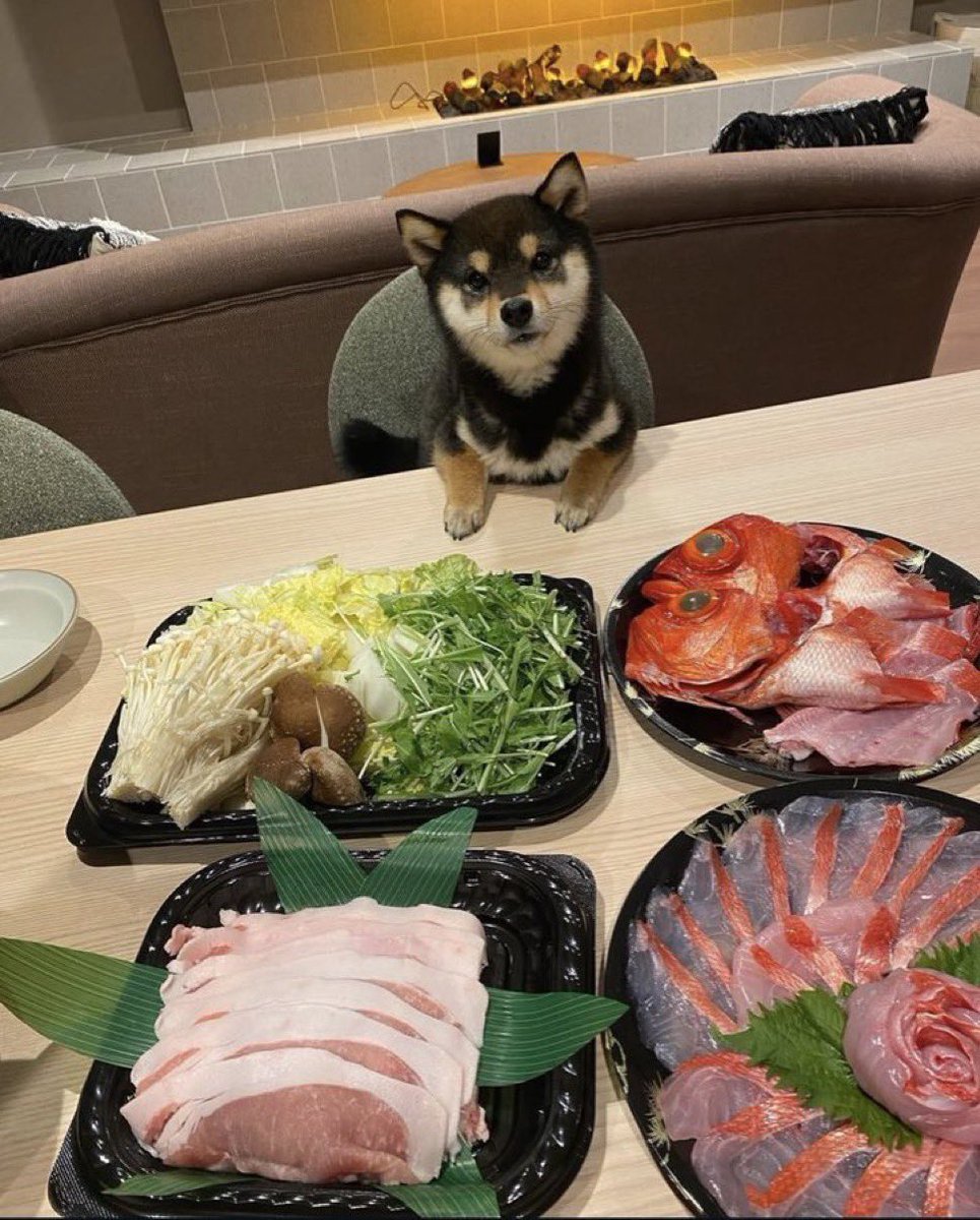 mrniggson's tweet image. 