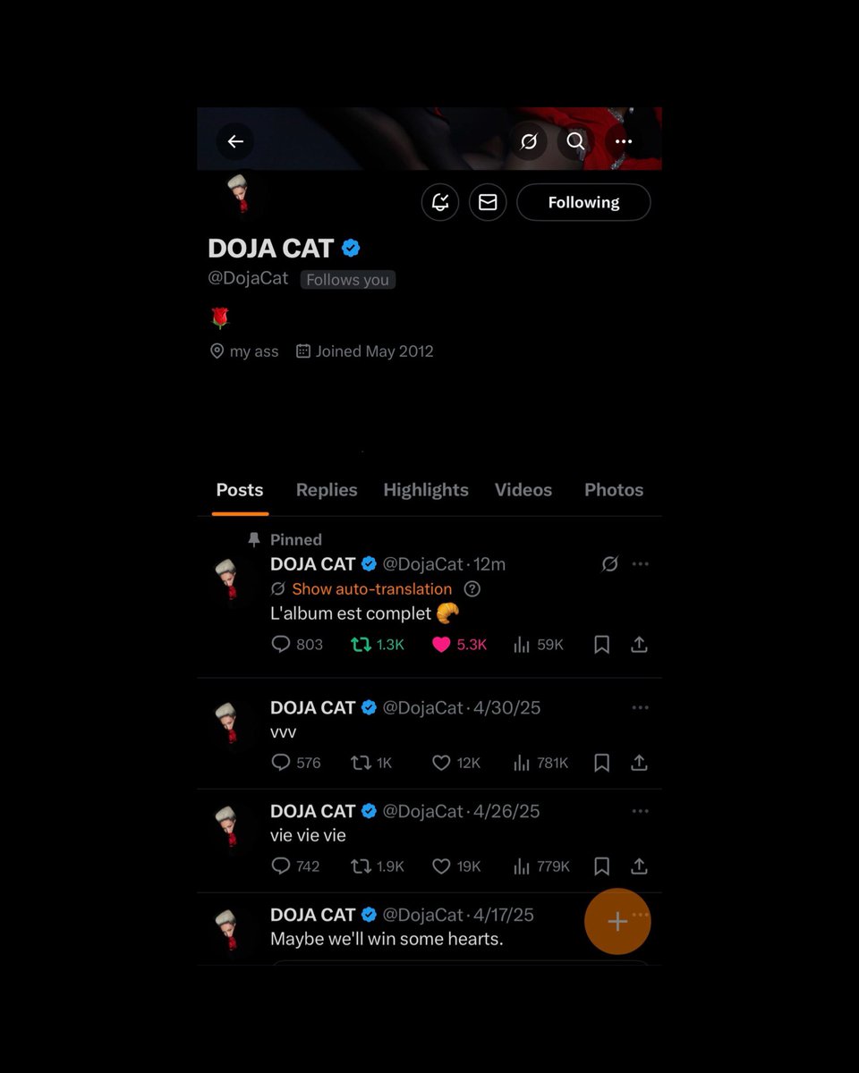 TheKittensRoom's tweet image. Doja Cat has cleared her Twitter/X profile, leaving up only #VIE related content, after her recent tweet confirming the completion of her 5th studio album 👀🌹