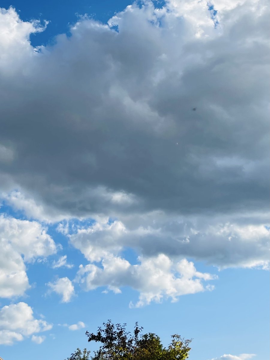 DiotimaDreams's tweet image. I won’t share my M&Ms with you.
But I will share my early evening, extra white fluffy clouds with you.