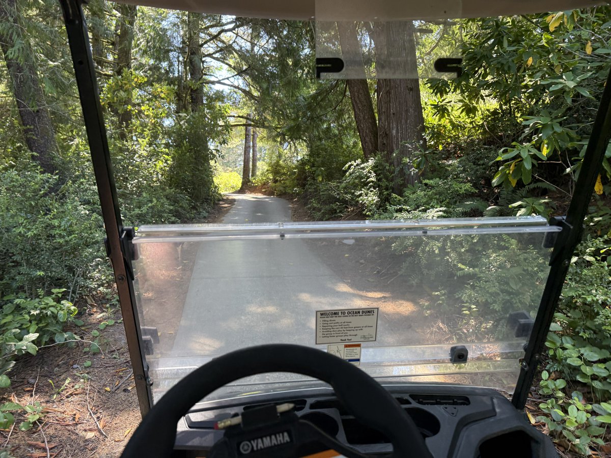 Fine if I must do this today
The Golf Gods called and said I must