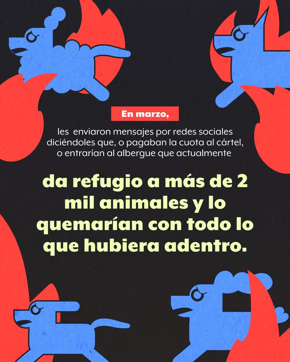 El <a href="/alberguepergatu/">Albergue Pergatuzoo</a> para animales, ubicado en Nicolás Romero, #Edomex, se enfrenta a las amenazas del crimen organizado.

Los dueños señalan que a pesar de la intervención de las autoridades, los intentos de extorsión continúan. 

Lee más: buff.ly/uQvdKZx