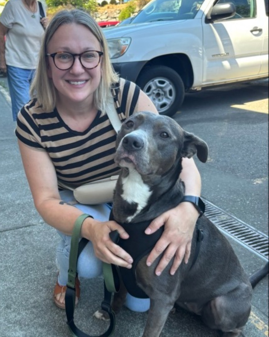 🐾💚 Time for the Adoption Numbers from Last Week! 💚🐾

Over the past week, 152 dogs, cats, and critters found amazing homes—including Selene!🎉🐶🐱🐰

Congrats to all the pets and their new families!

Check out all our adoptable pets on our website: thehumanesociety.org/adopt