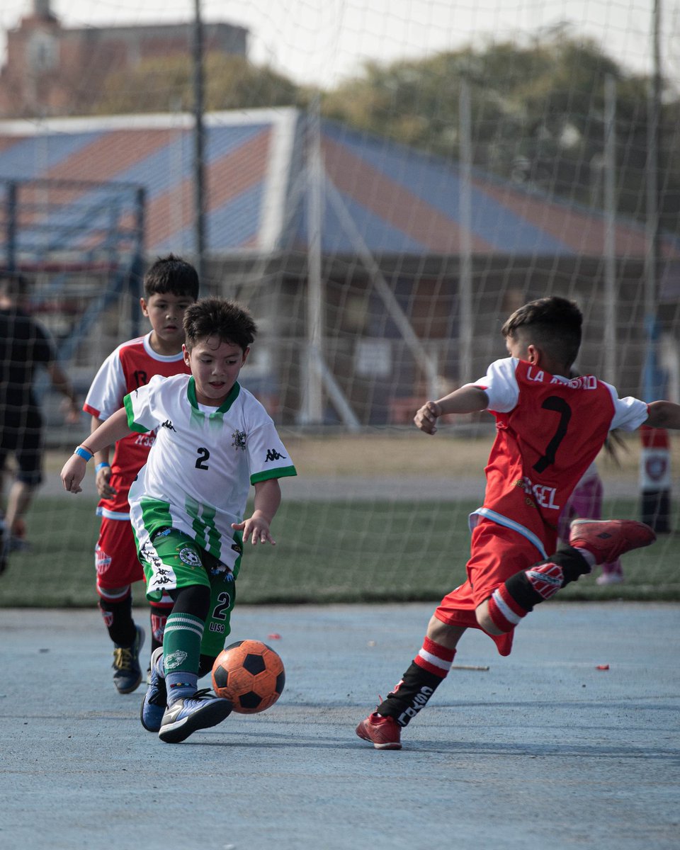 SanLorenzo's tweet image. Fútbol, familia, diversión y mucho más…
Ciudad Deportiva es una fiesta con la San Lorenzo Cup (Fútbol 9) y con dos Mundialitos promocionales de Baby Fútbol, competencias que reúnen a más de 5️⃣0️⃣ equipos del AMBA y del Interior del país.
Son alrededor de 1️⃣.0️⃣0️⃣0️⃣ chicos que…