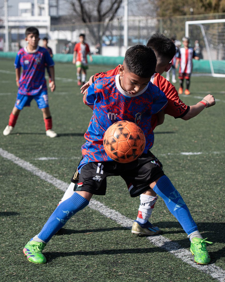 SanLorenzo's tweet image. Fútbol, familia, diversión y mucho más…
Ciudad Deportiva es una fiesta con la San Lorenzo Cup (Fútbol 9) y con dos Mundialitos promocionales de Baby Fútbol, competencias que reúnen a más de 5️⃣0️⃣ equipos del AMBA y del Interior del país.
Son alrededor de 1️⃣.0️⃣0️⃣0️⃣ chicos que…