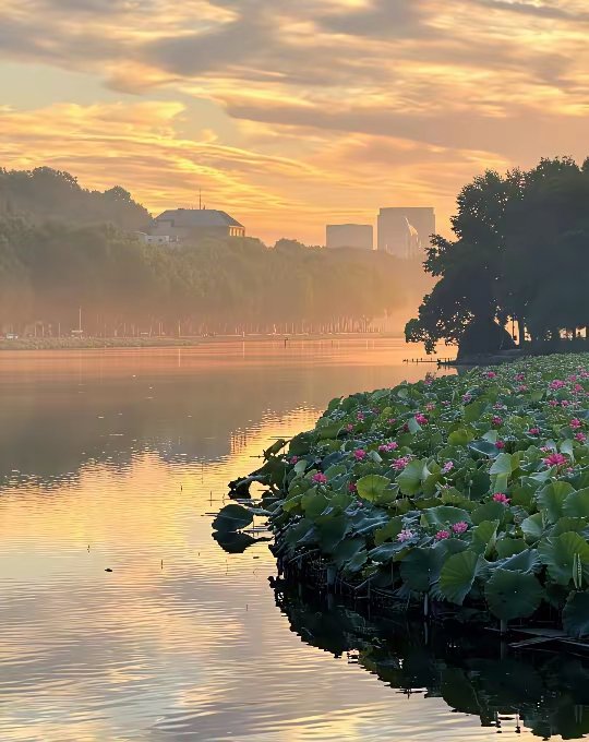 AlecZ198570's tweet image. West Lake in Hangzhou, China