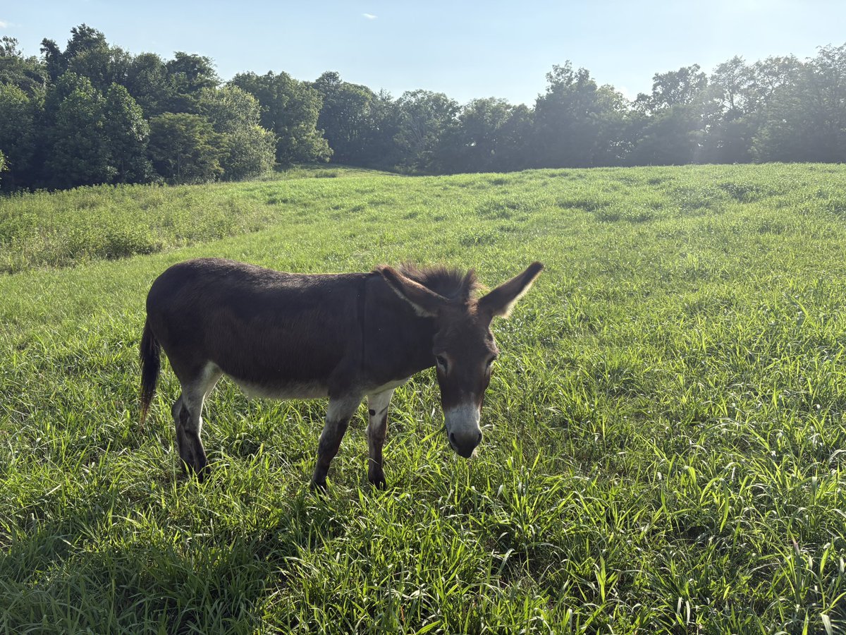 Cupcake is sad. We had a long talk and I told her tomorrow is <a href="/Patton_Cook/">Patton Cook</a> last show. She want eat for a week. <a href="/JonBurton3234/">Jon Burton</a> <a href="/NashSportsRadio/">WNSR - Nashville Sports Radio</a>