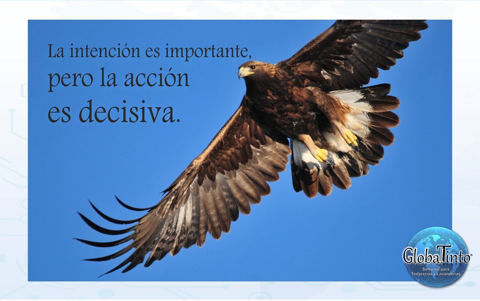 Globaltinto's tweet photo. Es tiempo de tomar acciones inteligentes para levantar tu negocio. ¡Feliz semana, Amigos Empresarios y Emprendedores!
#FelizSemana #Emprendedores #Software #SoftwareLavanderias #SoftwareTintorerias #GlobalTinto #VivelaExperiencia https://t.co/v4YW2JyuY4