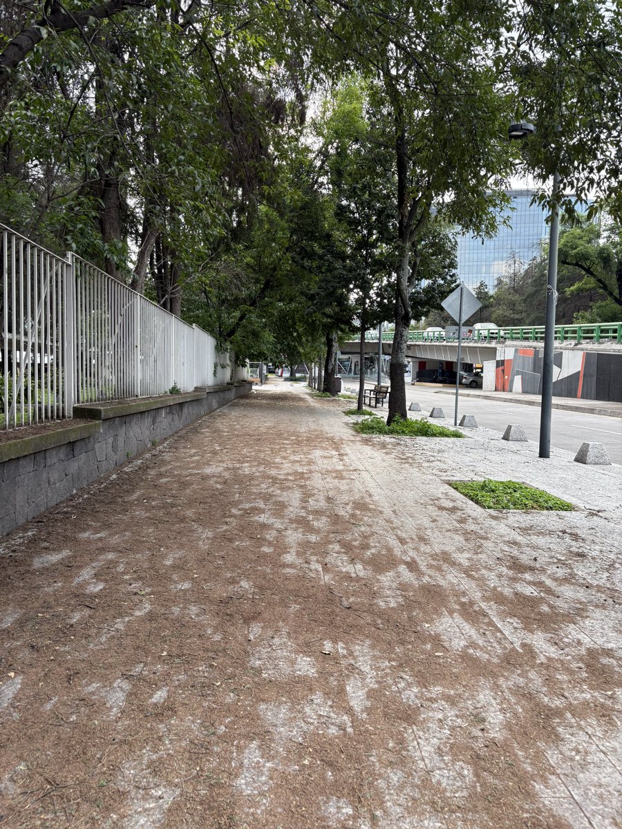 nat teutle tweet media