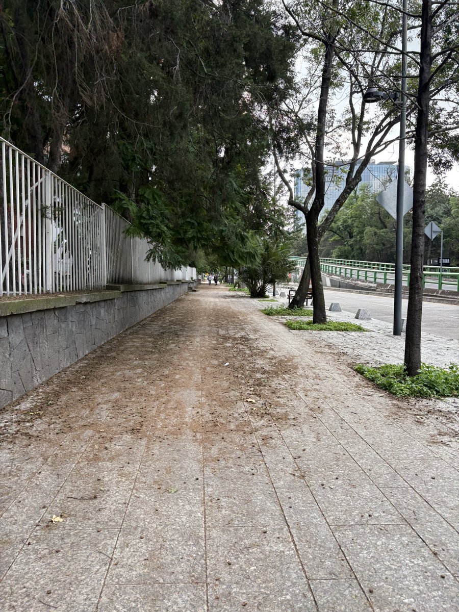 nat teutle tweet media