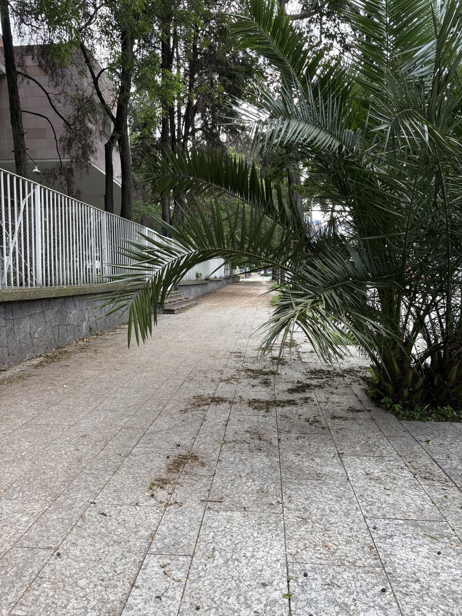 nat teutle tweet media