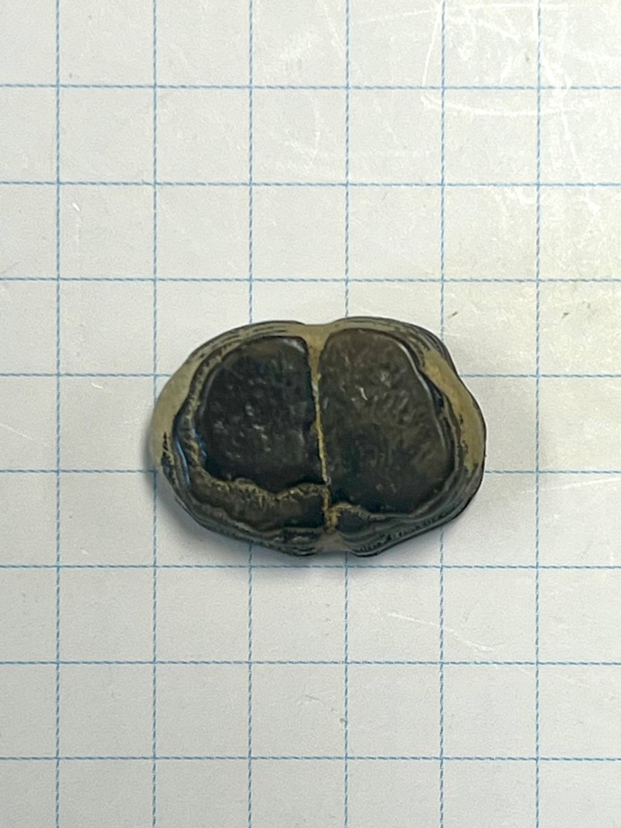 夏休みが始まりました。 毎日暑い日🥵が続きますが、 熱中症予防に気を