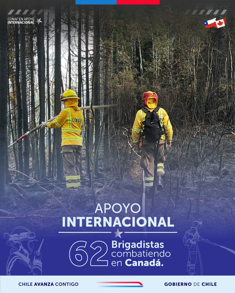 CONAF - Corporación Nacional Forestal tweet media