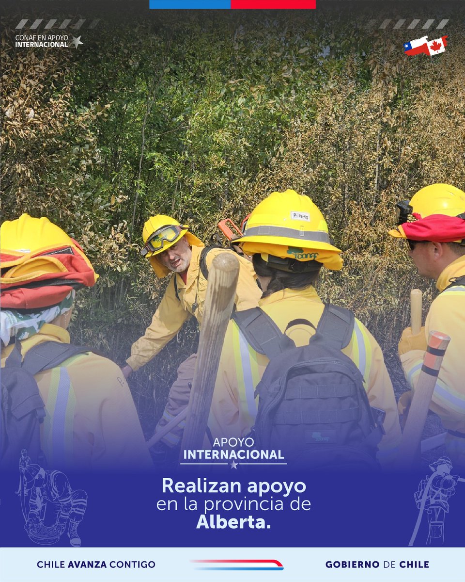 CONAF - Corporación Nacional Forestal tweet media