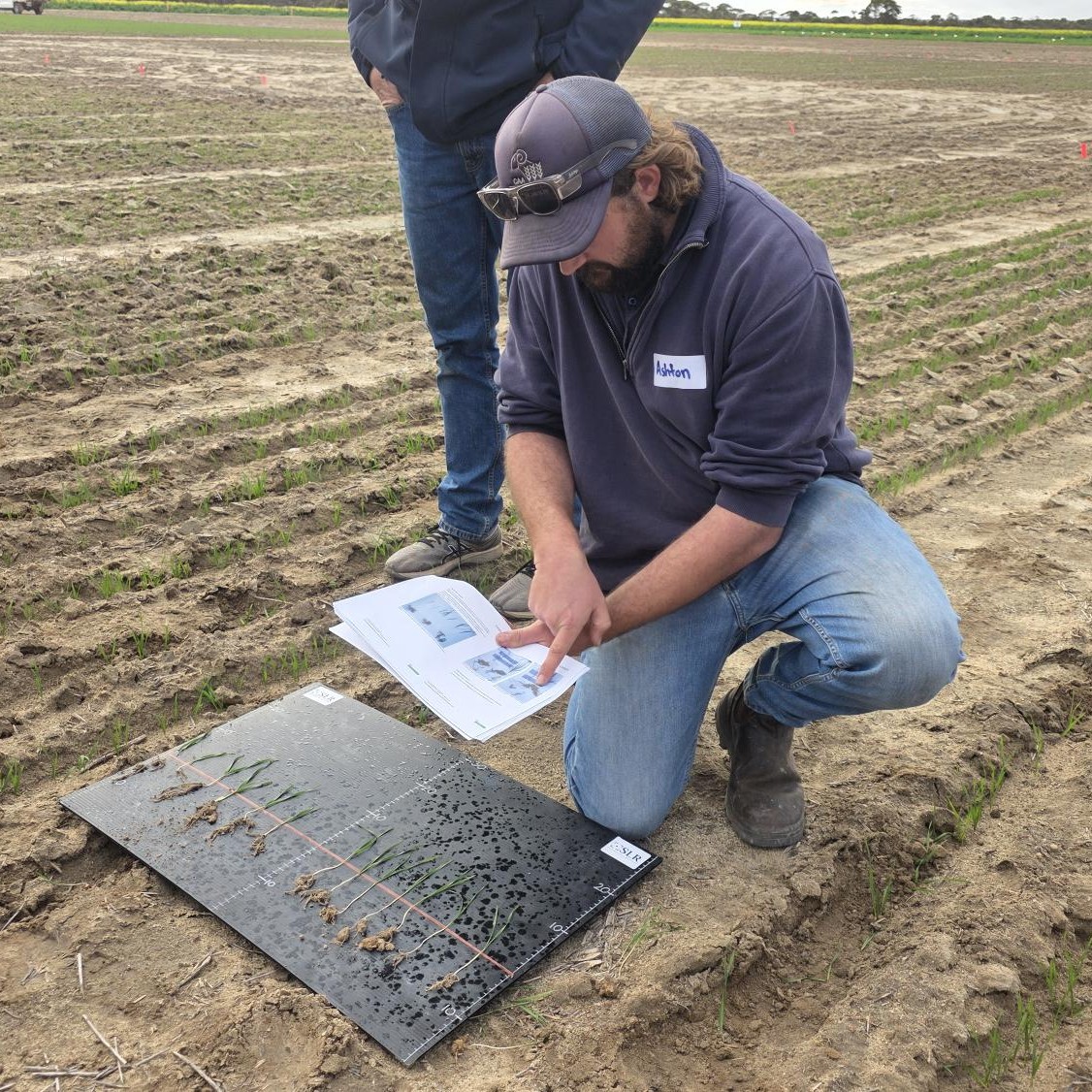 Liebe Group Post-Seeding Field Walk – Maya, WA 🌾

GrainGrowers recently attended the Liebe Group’s Post-Seeding Field Walk, where members came together to explore early-stage trials, share insights, and shape future research and development priorities.

Key conversations