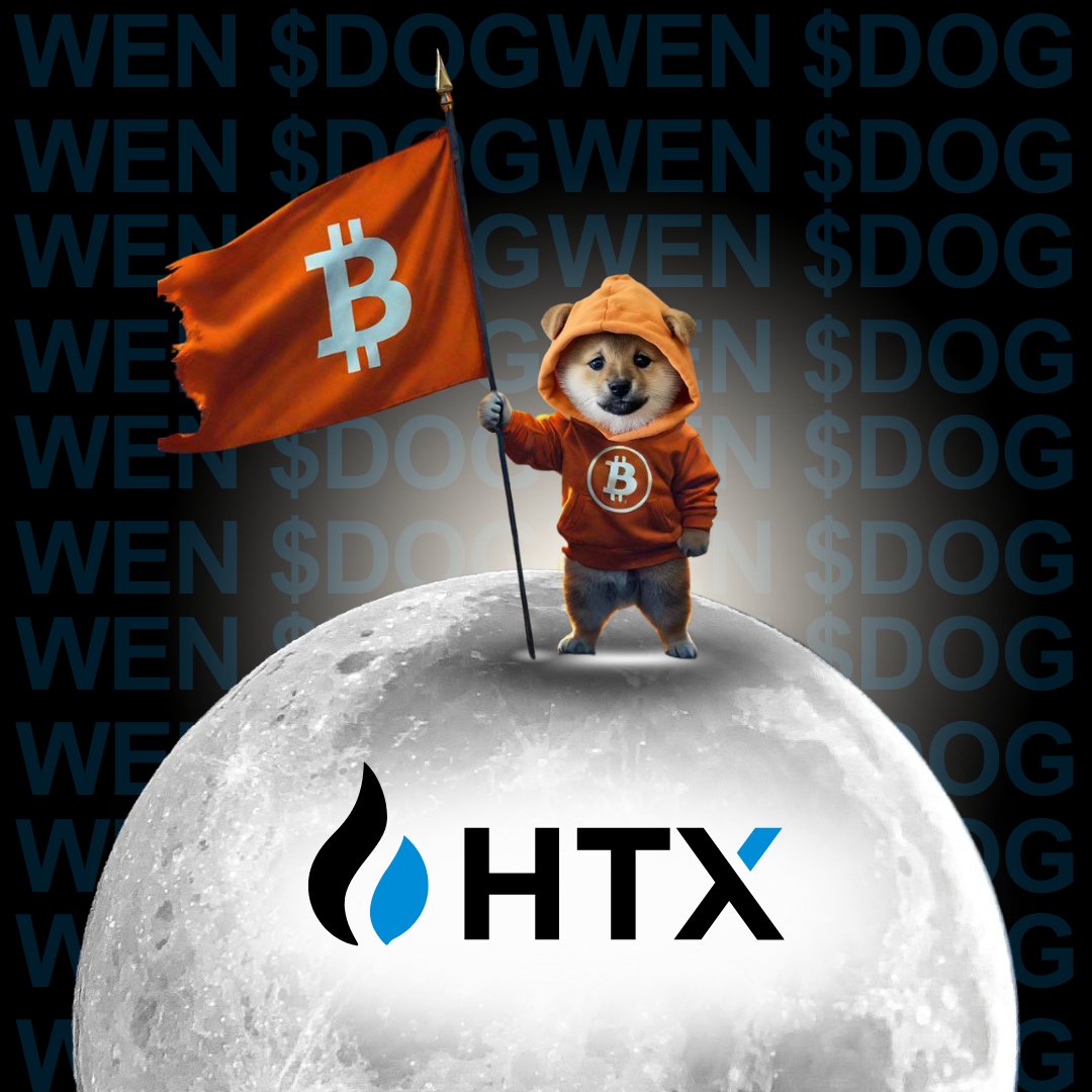 DOG•DA•MASSA tweet media