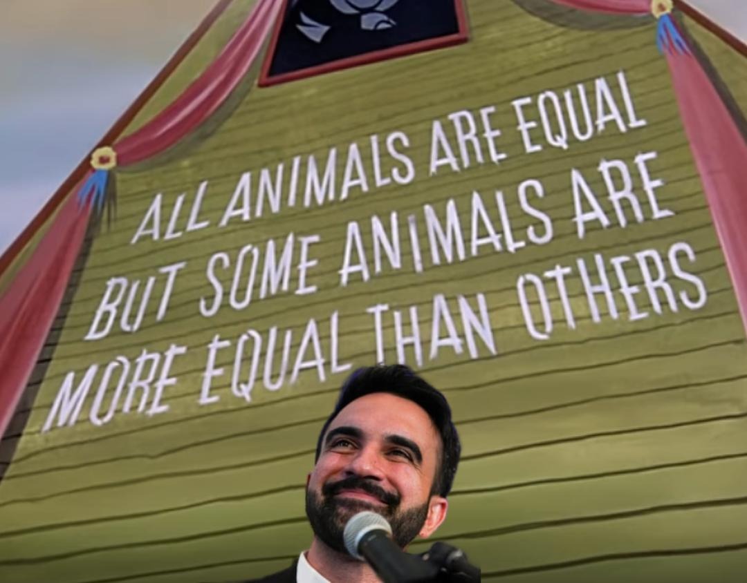 James Lindsay, anti-Communist (@conceptualjames) on Twitter photo 