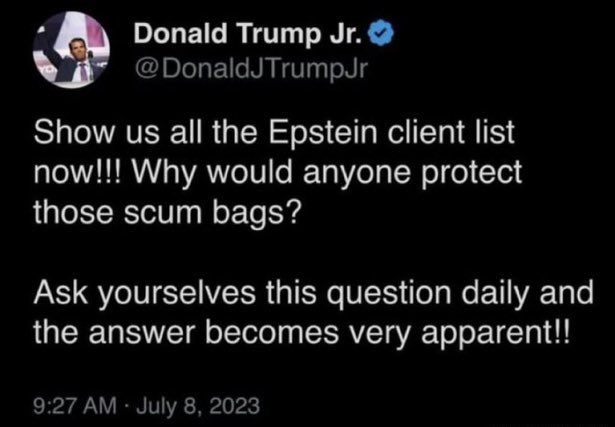 AdamKinzinger's tweet image. Let’s just take a moment to thank @DonaldJTrumpJr for his clear eyed, and steadfast determination to get answers with Epstein. He says to ask ourselves DAILY what SCUM would be against disclosure and truth? Hmmm….