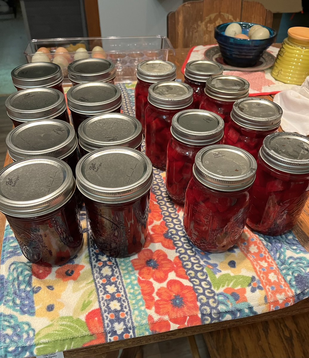 babywasteland's tweet image. 8 pints of pickled beets (wide mouth jars) and 8 pints of regular beets (regular jars) please clap 😌