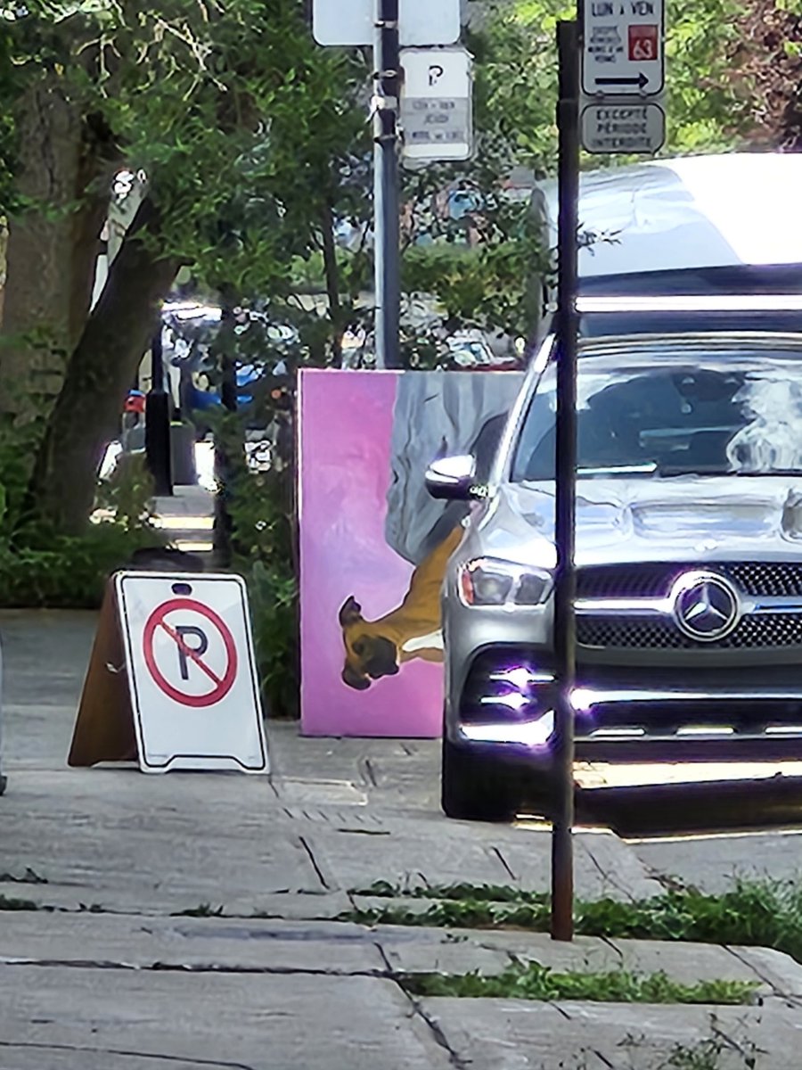 JohnJDodge's tweet image. Yes, I am jealous of my neighbor's painting of a dog in front of a bright pink sunset