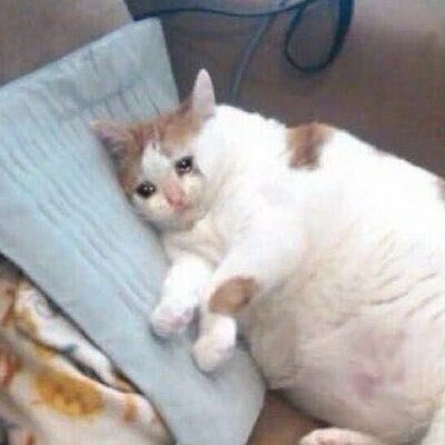 reallygraceful's tweet image. me after trying to explain to my family that the Coldplay cheating couple is artificially boosted by the algorithm and is likely a distraction but they immediately look at me like I’m crazy