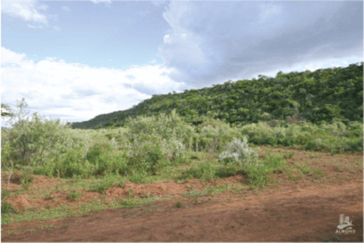 UKatung's tweet image. Offer! Plots for Sale in Kimuka–Ngong (50 x 100)
Price: Ksh. 600,000
📍 Located right on the Ngong–Suswa Tarmac Road
Ready Title Deeds
Water Available on Site
Flexible payment plan.
📞 +254 720 866 842
#LandForSale #RealEstateInvestment #offer #Gachagua #PlotsForSale #ForSale