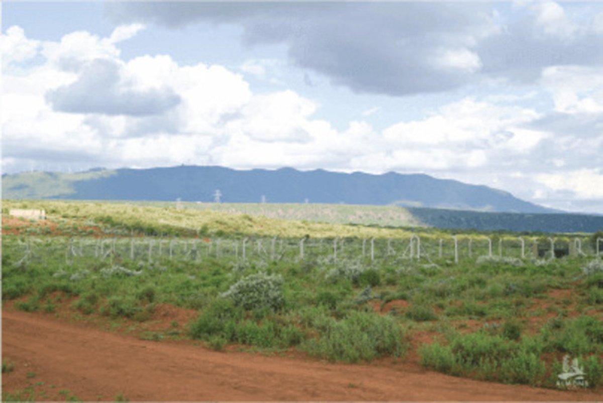 UKatung's tweet image. Offer! Plots for Sale in Kimuka–Ngong (50 x 100)
Price: Ksh. 600,000
📍 Located right on the Ngong–Suswa Tarmac Road
Ready Title Deeds
Water Available on Site
Flexible payment plan.
📞 +254 720 866 842
#LandForSale #RealEstateInvestment #offer #Gachagua #PlotsForSale #ForSale