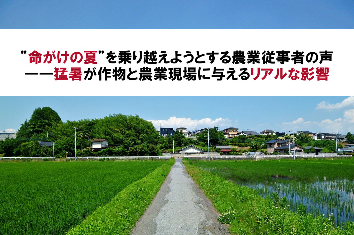 【農機具王】”命がけの夏”を乗り越えようとする農業従事者の声――猛暑が作物と農業現場に与えるリアルな影響とは prtimes.jp/main/html/rd/p…