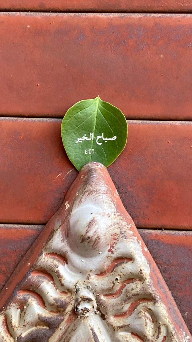 #صباح_الخير
ڪلكم بدون استثناء 

سقاڪم الله من فيض أمانيڪم حتي ترتوي قلوبڪم  امين ؛صباح الخير