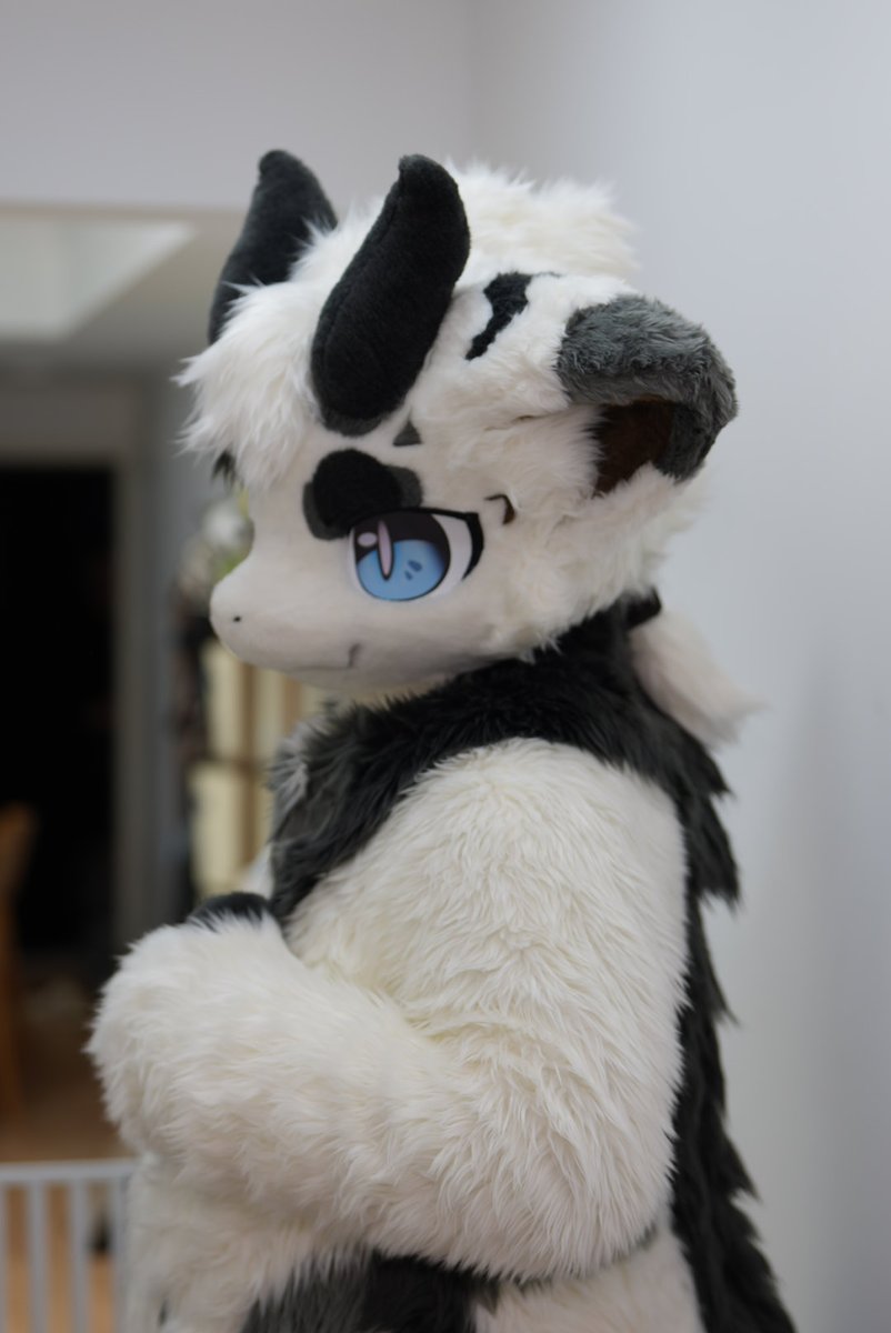 小龙臭美~
#furry