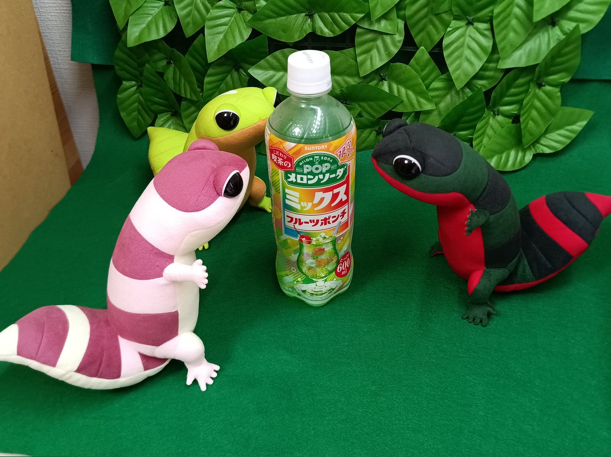 craft_hana_lion's tweet image. ワンフェスのオリジナル枠にはフルーツポンチーズ連れてくよ!!
デビュー戦だよ!!🦎🍉🍈🍓✨