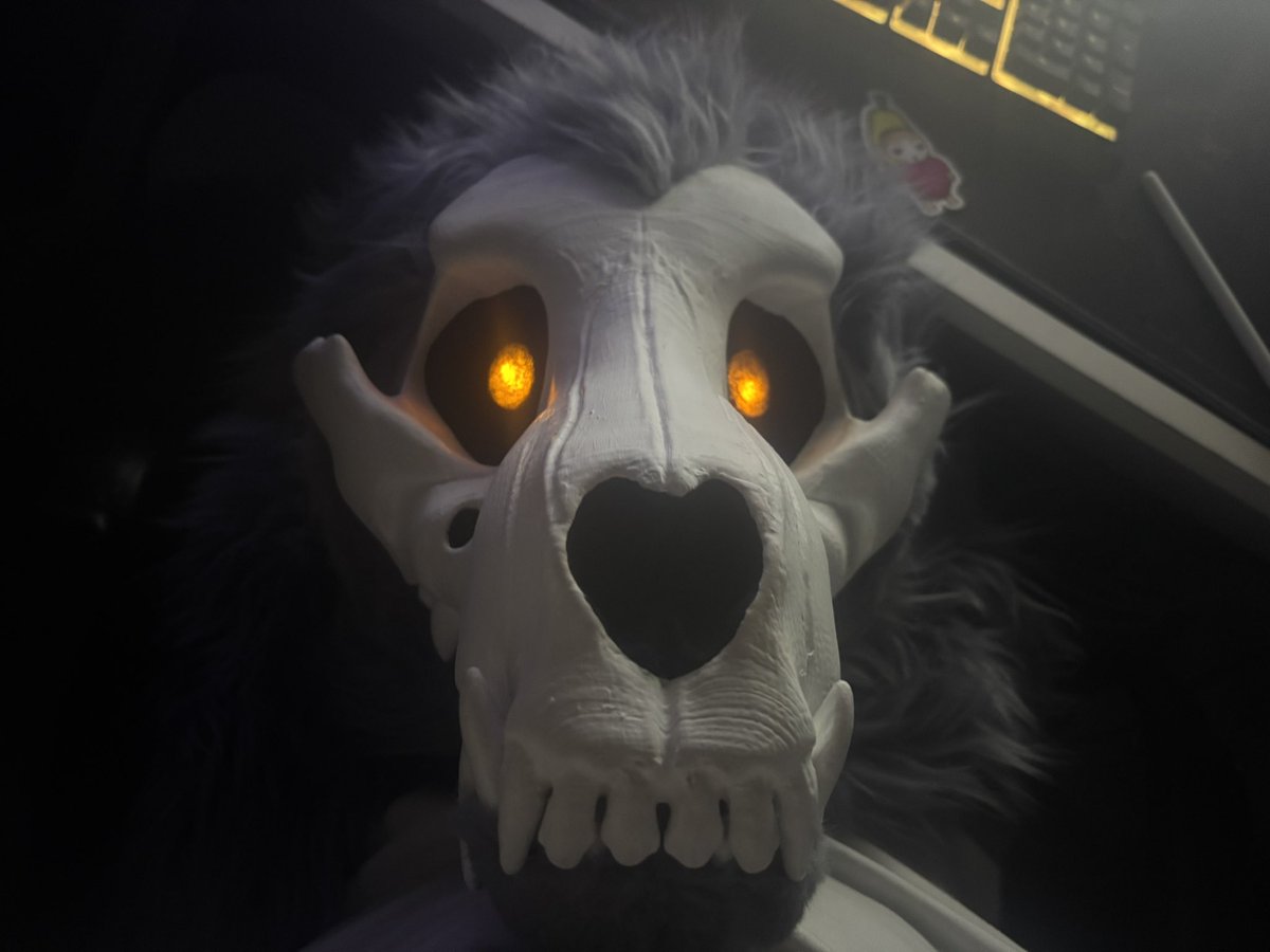 chumblings's tweet image. i think i wanna get a little bow clip or some fun accessories for this guy. does anyone have any recommendations lol