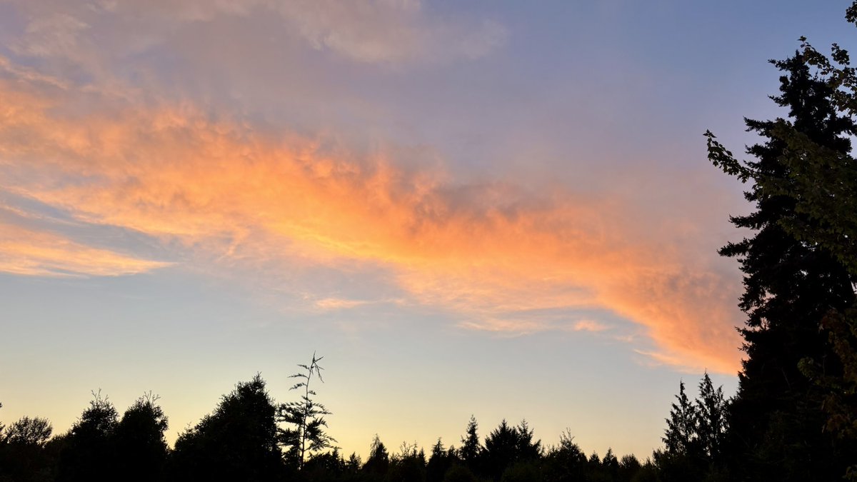 The_Weatherman2's tweet image. Colorful sunset in Federal Way tonight! #wawx
