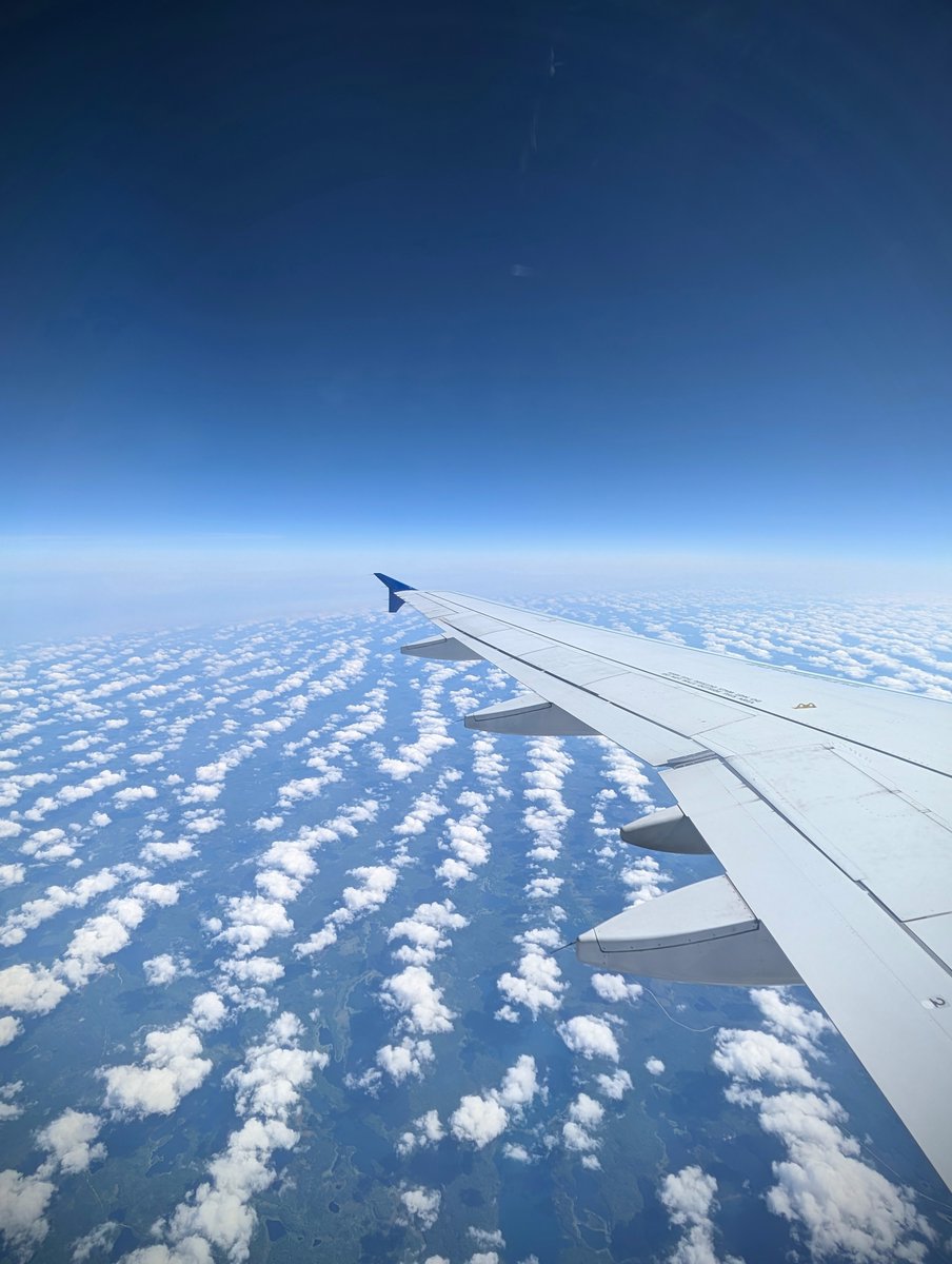 dbhaskar92's tweet image. Turing patterns at 30,000 feet? On the way back from #SMB2025, the clouds below looked suspiciously like reaction-diffusion stripes...