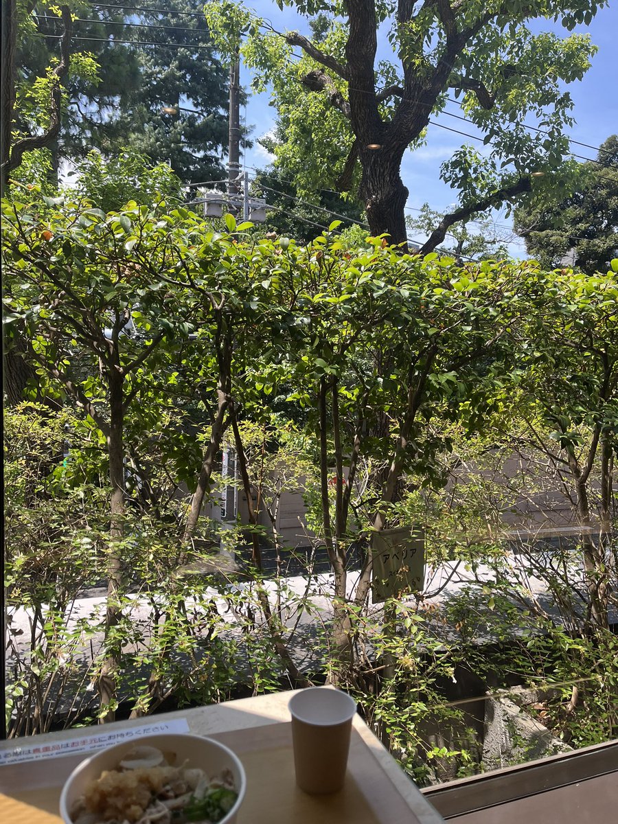 めっちゃ都心だけど緑が多くて気持ちのよいところでランチをしています。