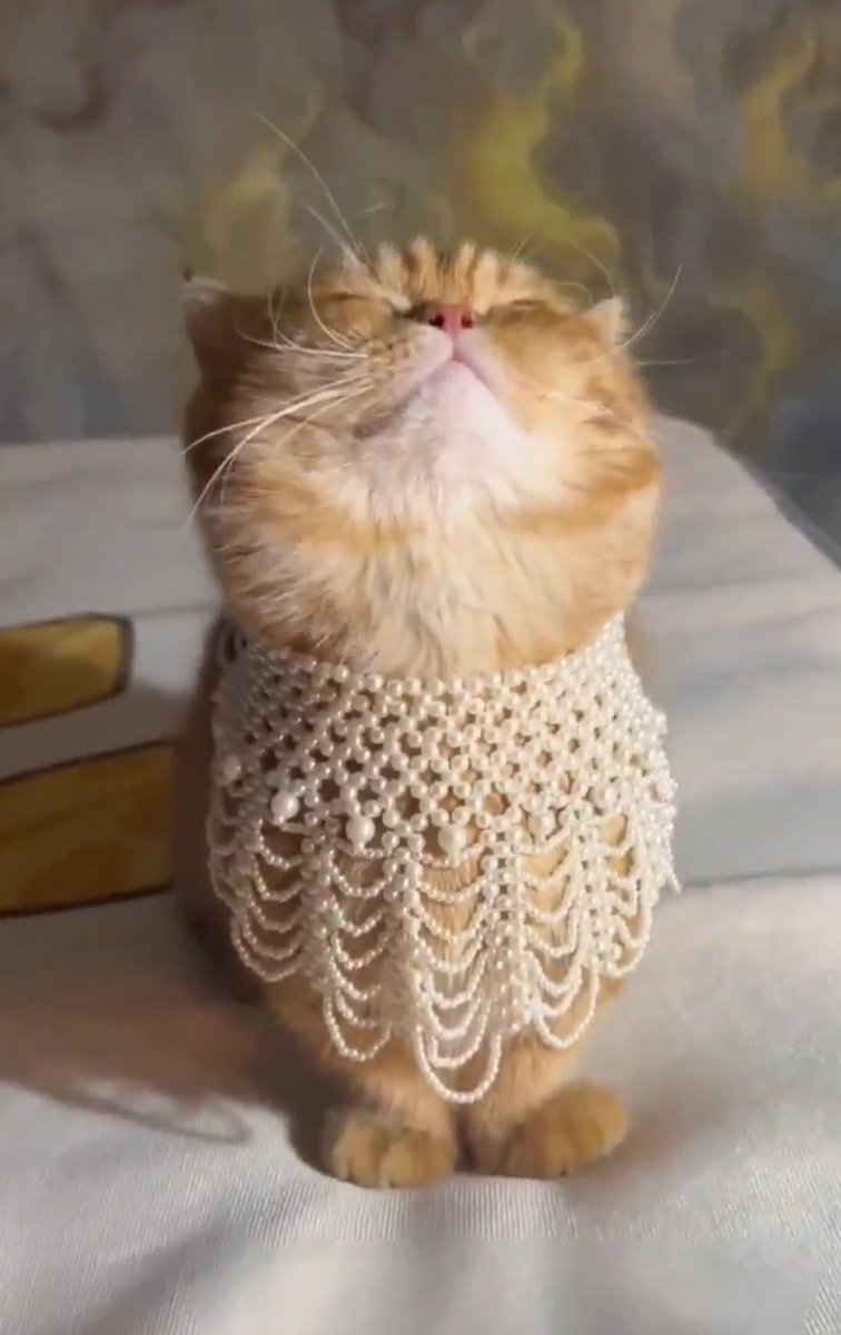 YourAnonSurge_'s tweet image. ⚠️ Share this ⚠️
documentcloud.org/documents/3130…
#AllMagatsFuckKids
and here is a picture of cat for the algo