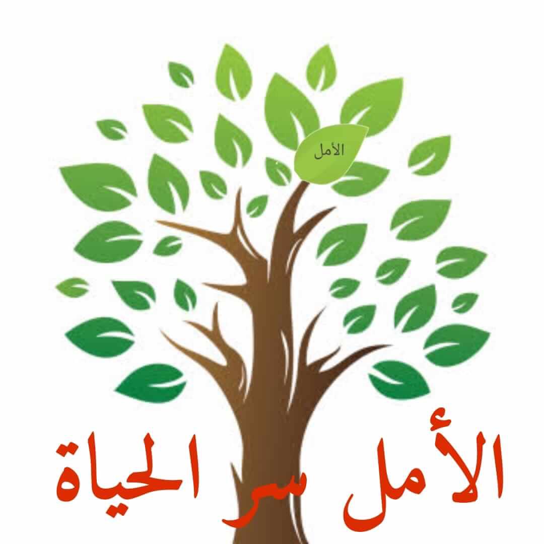لا يُولد التفاؤل من فراغ،
يُولد من تجارب أوجعتنا،
لكننا آثرنا أن نبتسم…
لا لأننا أقوياء،
بل لأن اليأس لا يشبهنا

صباحكم سعادةٌ لا تزول، وأماني لا تنتهي، وقلوبٌ عامرةٌ بالحبِّ والتسامحِ، مفعمةٌ بنور الطيبة والصفاء.

اللهُم بك أصبحنا 🌹
#صباح_الأشياء_المُشرقة 
#صباح_الخير