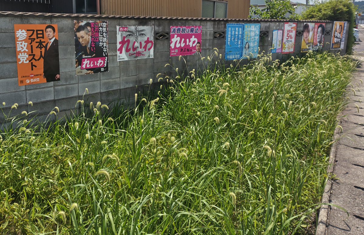 NWt01NX2bcLWmhh's tweet image. 本日も比例はれいわ貼り替え行脚。昨日のハードスケジュールでダラダラです。天野峠看板貼り替えと雑草退治で既にヤバイ。お次は連続バカポスに貼り替えでちゃっかり1枚追加キープ。半時間移動の事件ポスは貼り替えたばかりやったのでワッポン貼りの剥がし作業のみ共同ポスは無事復活。