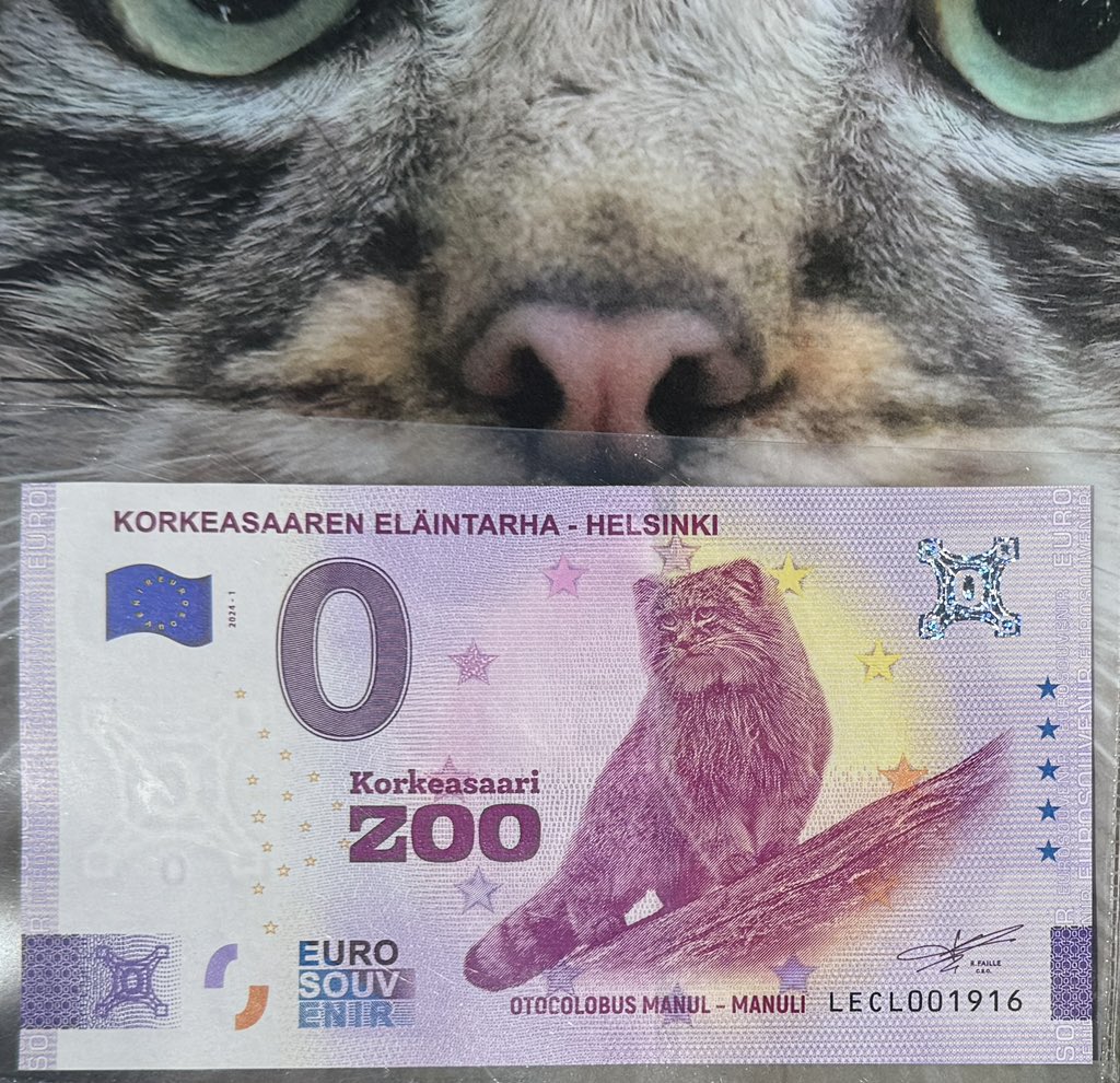昨日まで一緒にマヌルネコの写真を撮ったフィンランドのご夫婦にSCZのマヌルネコ手ぬぐいあげたら、特別なゼロユーロ紙幣もらった。額に入れて飾ろう。日本まではポリーのファイルで大事に持って帰る。
明日は冷たいビール

#マヌルネコ
#pallascat
#manul
#Otocolobusmanul
#EURO