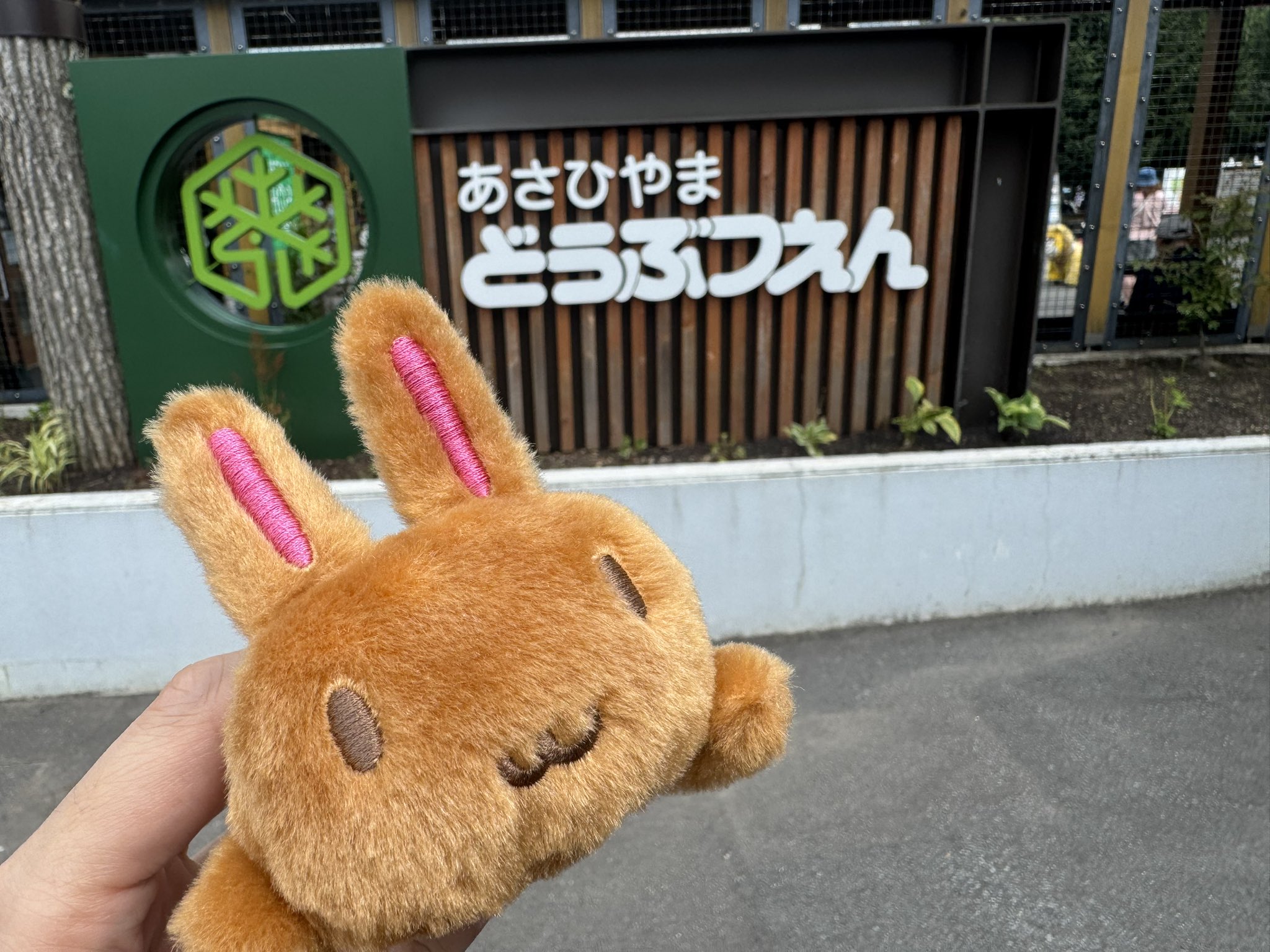 みみみ★24年9月25日から発送お休み様 リクエスト 2点 まとめ商品 みみみ on X: 