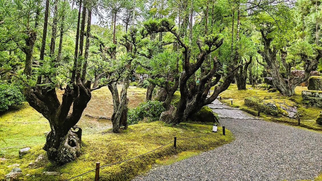 Tokyonobo's tweet image. In a corner of the Shozan Resort in northern Kyoto, there is a Japanese garden called Shozan Garden. Since we I had some time after lunch, I decided to explore the garden and the Japanese architecture within the grounds. #しょうざん庭園 #峰玉亭