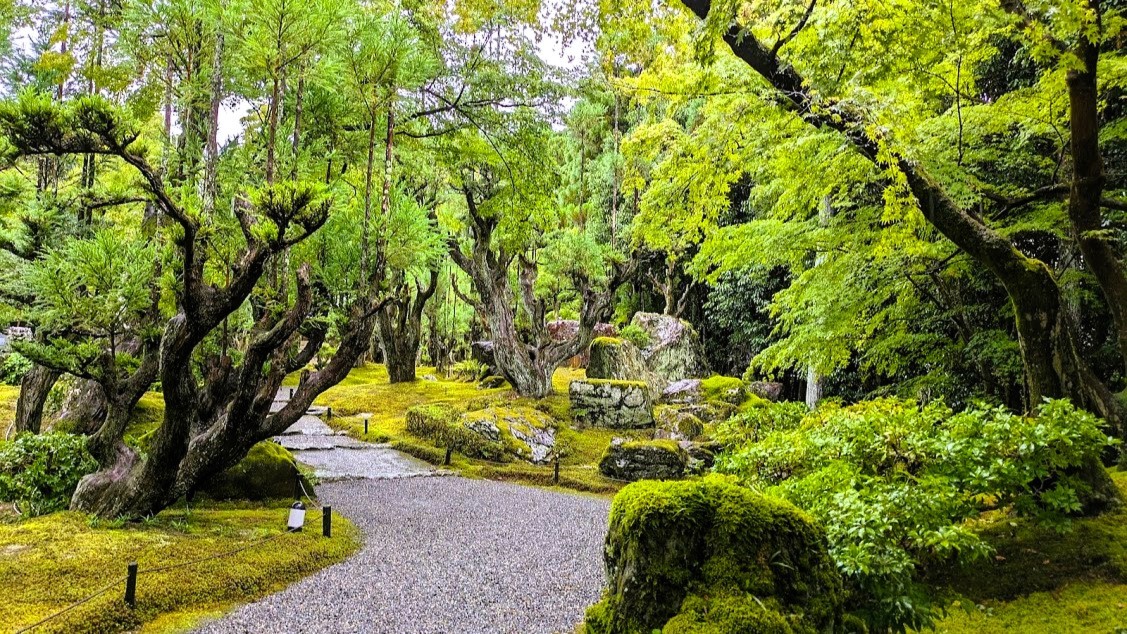 Tokyonobo's tweet image. In a corner of the Shozan Resort in northern Kyoto, there is a Japanese garden called Shozan Garden. Since we I had some time after lunch, I decided to explore the garden and the Japanese architecture within the grounds. #しょうざん庭園 #峰玉亭