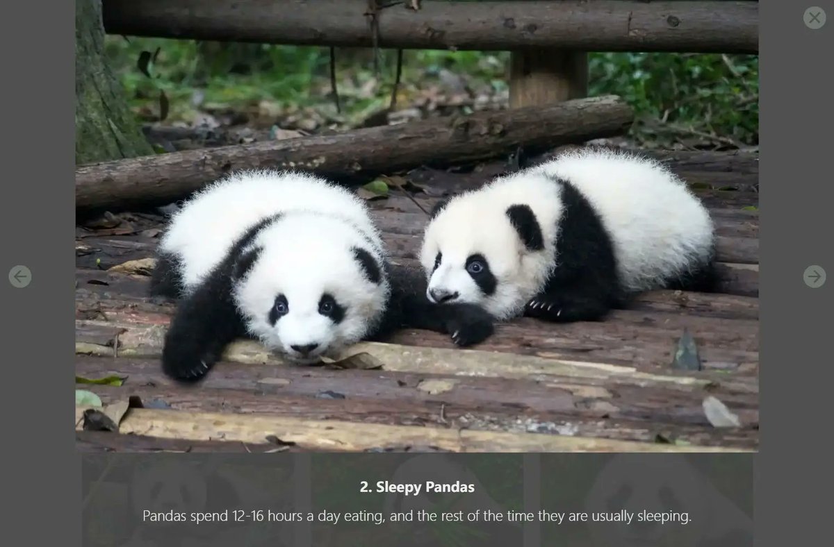 Pandabox: A new Astro component for creating efficient image galleries:

📁 JSON-based content management  
🖼️ Built-in image optimization  
🎨 Customizable transitions with CSS  
📱 Native touch navigation support  

🔗next.jqueryscript.net/astro/lightbox…