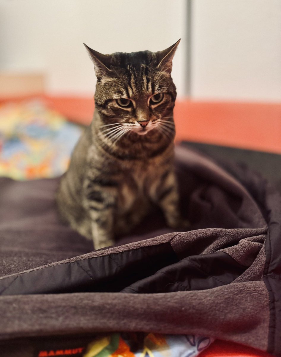 Rosa und ich wünschen allen einen guten Tag, frei von Ungemach und Üblem!