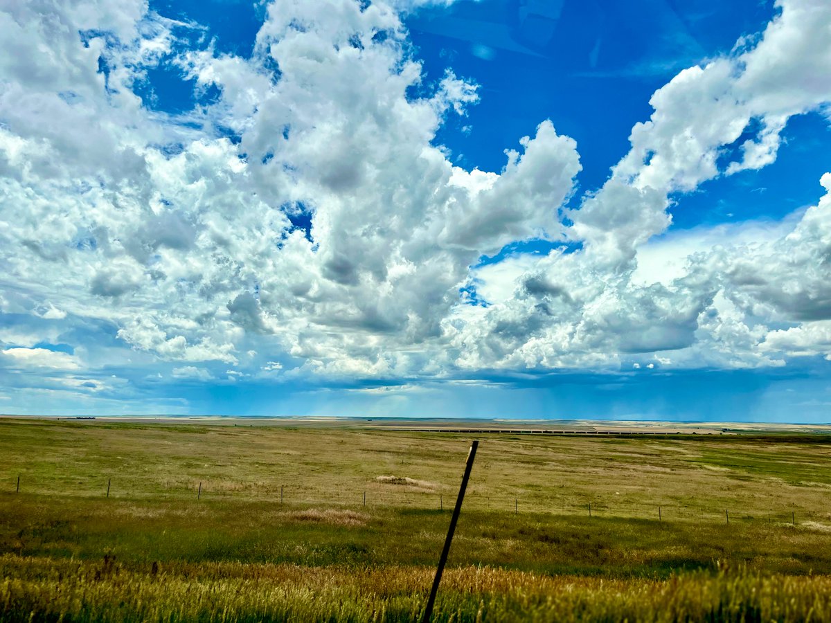 I realize that I have a ridiculous amount of car pics. Who else likes to take a snap shot out of their window?