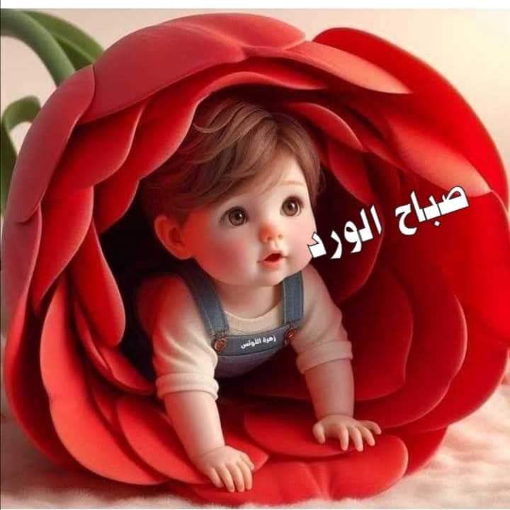🤲🤲🤲
اللهم
نور قلوبنا
وأشرح صدورنا
وأغفر ذنوبنا
وأستر عيوبنا
وأصلح ذات بيننا
وألف بين قلوبنا
واجعل طاعة رسولك في أعماقنا
آميــَن يارب العالمين....
وفرج على غزة واهلها ما لهم الا انت
ياااااااااااااااارب
صباح الخير والعافية