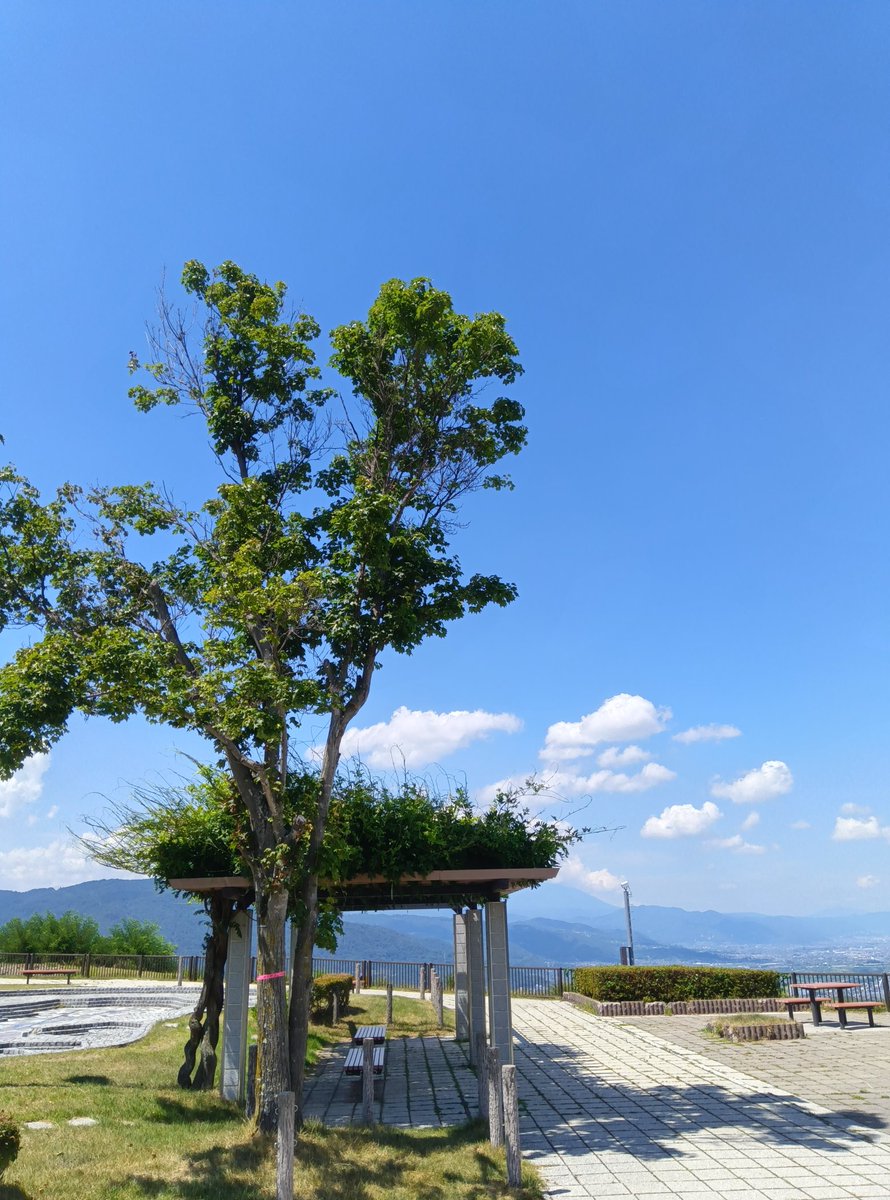 obasteSK_alpico's tweet image. 暑い、、暑すぎる、、🥺☀
本日の千曲市は34℃🥵🥵
水分補給をしっかりして熱中症対策を
しましょう♪
#信州SA #姨捨SA #イマソラ #信州SAイマソラ #真夏日