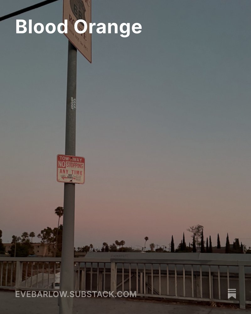 Eve_Barlow's tweet image. Today I wrote about the new Blood Orange. How to get home.
open.substack.com/pub/evebarlow/…