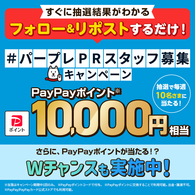 Perplexity を試すだけの仕事！？ 【#パープレPRスタッフ募集 –第6弾