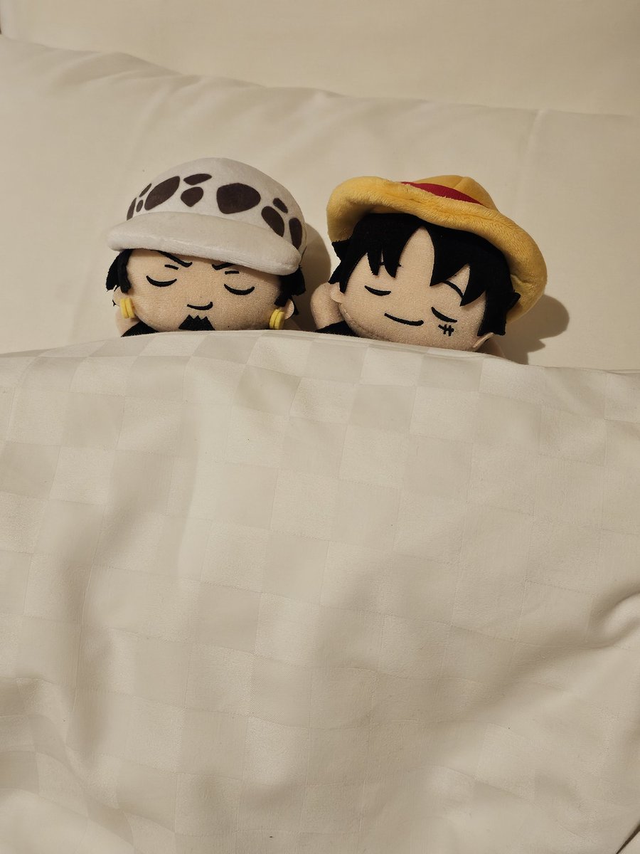 mrhooooy's tweet image. 发点去日本玩的照片活跃一下账号🥺
